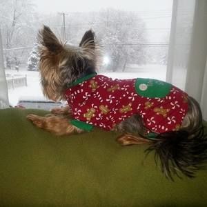 Meet your Posher, Vivian